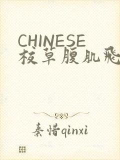 CHINESE校草腹肌飞机视频