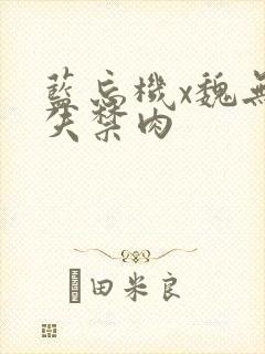 蓝忘机x魏无羡失禁肉