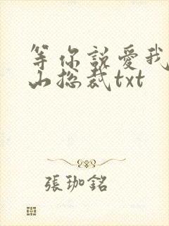 等你说爱我之冰山总裁txt