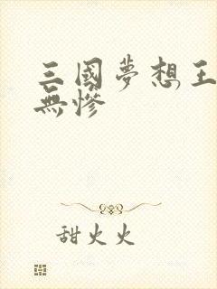 三国梦想王元姬无惨