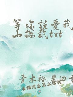 等你说爱我之冰山总裁txt