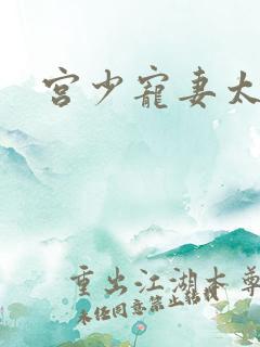 宫少宠妻太凶猛