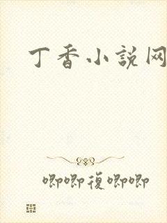 丁香小说网