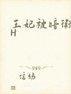 王妃被暗卫肉高H