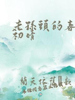 老孙头的春天林初晴