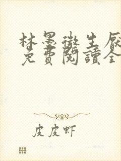 林墨微生厌小说免费阅读全文