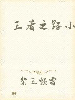 王者之路小说