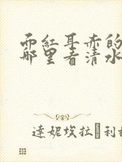 面红耳赤的小说哪里看清水村花