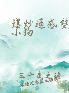 爆炒通感双胞胎小狗