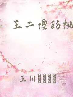 王二傻的桃花运