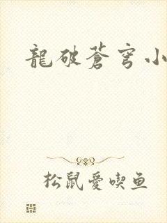 龙破苍穹小说