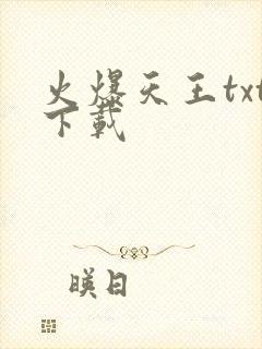 火爆天王txt下载