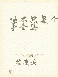 他不只是个狙击手全集