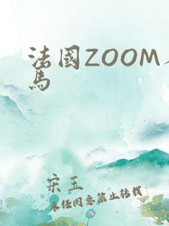 法国ZOOM人马