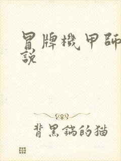 冒牌机甲师 小说