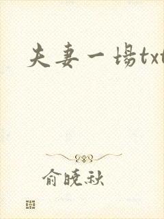 夫妻一场txt