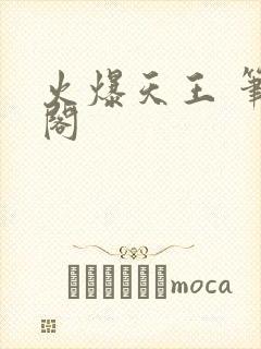 火爆天王 笔趣阁