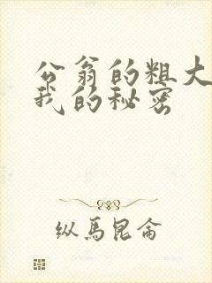 公翁的粗大放进我的秘密