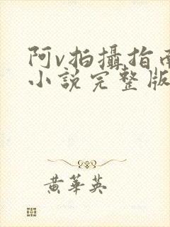 阿v拍摄指南说小说完整版