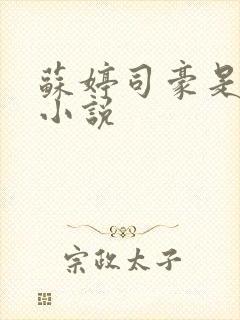 苏婷司豪是什么小说