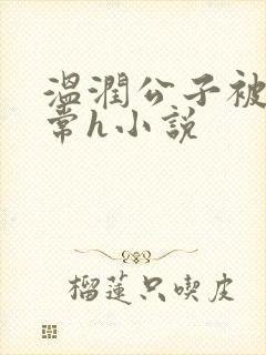 温润公子被脔日常h小说