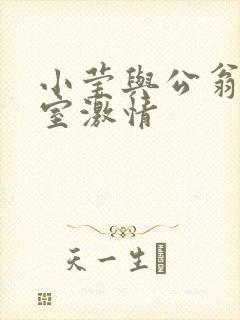 小莹与公翁办公室激情