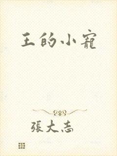 王的小宠
