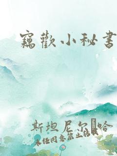 窃欢小秘书