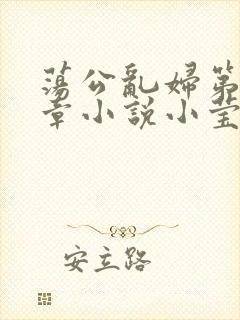 荡公乱妇第51章小说小莹