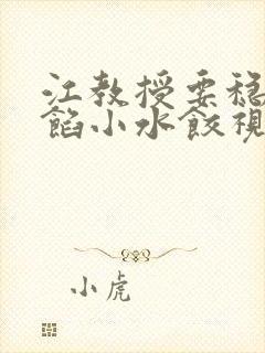 江教授要稳住肉馅小水饺视频