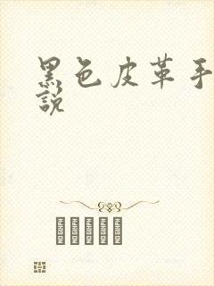 黑色皮革手册小说