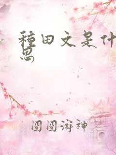 种田文是什么意思