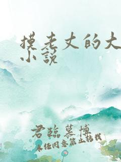 摸老丈的大牛子小说