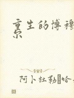 重生的博穆博果尔