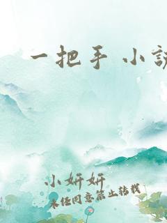 一把手 小说