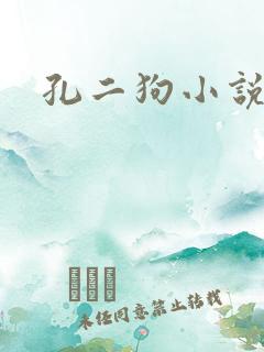 孔二狗小说