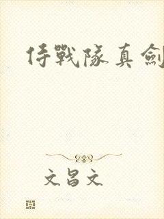 侍战队真剑者2