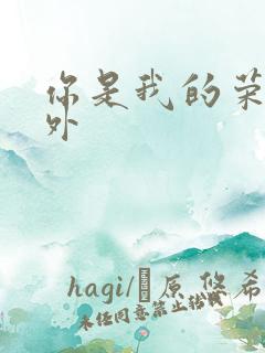 你是我的荣耀番外