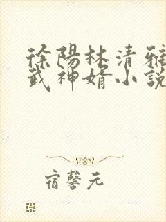 徐阳林清雅绝世武神婿小说