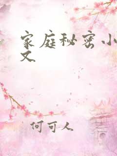 家庭秘密小说全文