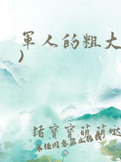 军人的粗大(h)