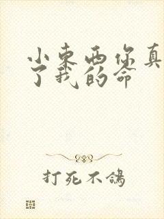 小东西你真能要了我的命