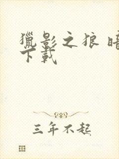 猎影之狼 暗夜下载