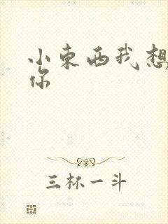 小东西我想弄坏你