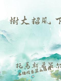 树大招风 下载