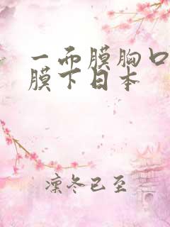 一面膜胸口一面膜下日本