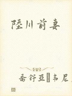 陆川前妻
