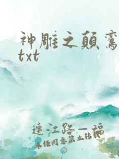 神雕之颠鸾倒凤txt