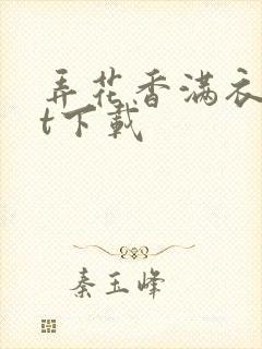 弄花香满衣txt下载