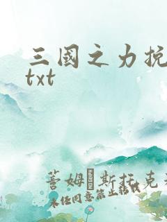 三国之力挽狂澜txt